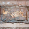 中国陝西省西安市、発見された前漢の文帝の陵墓から2000年前以上のジャイアントパンダの骨が出土