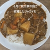 ミニミニ畑の恵みで晩酌♪手作りカレーと採れたてミニトマトのマリネ(^^♪