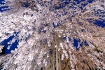 【動画あり】圧巻2.2kmの桜のトンネル！さくら名所100選にも選ばれた『ふくい桜まつり』に行ってきました