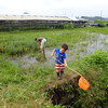 7月24日　生き物観察してきたよ