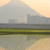 朝カブ散歩