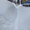 また雪、雪