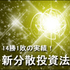 新分散投資法　新フロンティア戦略　総力戦で稼ぎ続ける秘訣　15年の稼ぐテクニックをあますことなくさらけ出します