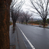 【日常】雨の墓参と鴨なんばん