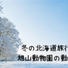 冬の北海道旅行記④旭山動物園の動物たち