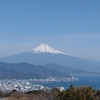 【愛知発青春18きっぷ旅】富士山を見に静岡県日本平へ日帰り旅