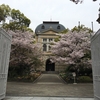 兵庫県公館と桜