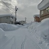 岩見沢市民もびっくりの大雪だった