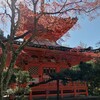 三滝駅から歩いてのんびり参拝　  静寂に包まれる三滝寺散策記
