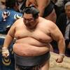 大相撲初場所／「近大パワー」「巨漢化する力士たちのケガ」