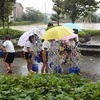 雨続きの毎日の中で