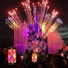 ブリュッセル&パリ4日め④ 感動！夜のDisney Tales of Magic ショー～ミッキーのお見送り💛