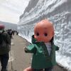 立山黒部アルペンルートで身長20センチのキューピーが見た17メートルの雪の壁。