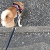 そして7月、だよ