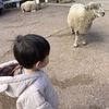 3歳4ヶ月