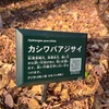 新宿中央公園で見かけたカシワバアジサイを紹介します