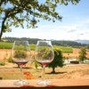 Portland Oregon Wine Tours Provides Wine in Portland Services