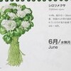 子どもの頃が懐かしい、「シロツメクサ（白詰草）」の花。