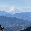 高尾山　稲荷山コース整備中