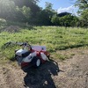 ５月の草刈り　ーその2－