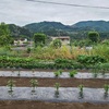 野菜畑の耕うん