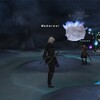 ＦＦ１１日記：シュ・メーヨ海の塩、たくさん持ってったのに１つしか使わなくてしょんぼり