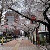 桜満つ幸多かれとバイト生