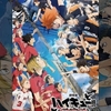ハイキュー！！ ゴミ捨て場の決戦をYouTubeでレンタルした。改めて青春の映画すぎる。