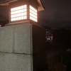 先週の土曜日は夜勤終わりにラウワン朝投げ放題