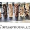 コロンワクチンに協力した輩はニュルンベルグ法によって裁かれるべき