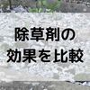 スプレー除草剤の効き目を調べてみた。DAISO除草剤との比較も。