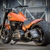 バイク：Rick's Motorcycles「Milwaukee-Eight Softail "300"」