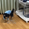 早い者勝ち