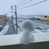 雪が積もったので