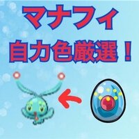 色粘り最難関 色違いマナフィをゲットしました 自力色厳選 つくたろうのブログ 色粘り最難関 色違いマナフィをゲットしました 自力色厳選 つくたろうのブログ
