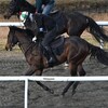 今年（来年）の冬は小倉が熱い！？