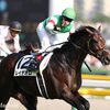 【クラシック番付2018】勝手に格付けします！〜牡馬編