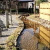 野路の玉川   古き宿駅   野路駅 の名残り