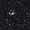 ＮＧＣ２３３６：きりん座の渦巻銀河