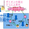 あなたの会社も倒産します。でも、何も問題ありません。百貨店大沼の廃業を見て思うこと。