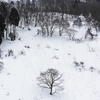 豪雪地域