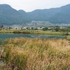 大日池（長野県長野）