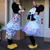 弾丸ディズニーランド・リゾート（DLでのグリーティング） / Weekend Getaway to Disneyland Resort (Greeting at DL)