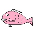 スリーゼットブログ