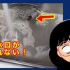 【キッチン】排水口が詰まった！真空式パイプクリーナー購入【つまり解消】