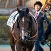 【一口馬主／ラパンラピッド】光射す好走劇！