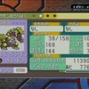 【ポケモンRS】絵画あり固定乱数自動化（method4対応）