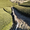 茶園整備～石積み編～　2021年春