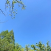 木星が７ハウスを通過。出会いに恵まれる。