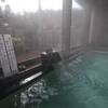 入の元湯「神泉亭」日帰り入浴ブログ｜強アルカリ性のぬるぬる鉱泉
